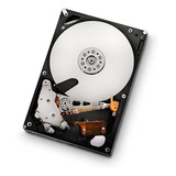 Hitachi Ultrastar 3.5-inch Rpm Sata Ii Caché Ent