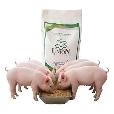 Alimento Alto Contenido De Proteina Para Cerdo De Engorda | Envío gratis