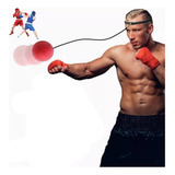 Pelota Boxeo Velocidad Reflejos Precisión Kick Boxing Muay Entrenamiento Mma Artes Marciales Mixtas Enfoque Reacción 