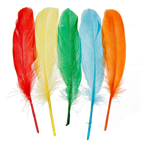 Pluma Colores Ganzo Manualidades Decorar 15-22cm Mylin 20pz