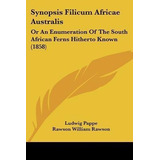 Synopsis Filicum Africae Australis : Or An Enumeration Of...