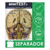 Minitest 7. Anatomía. Nervios Autoevaluación, Resumen + Test Con Respuestas, De Melloni´s. Editorial Marbán, Tapa Blanda, Edición 1ra En Español