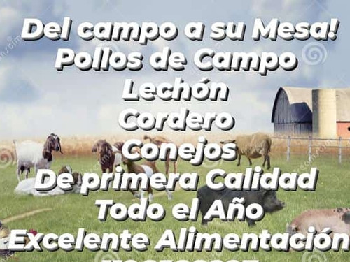 Lechon Cordero Pollo De Campo Conejo. 