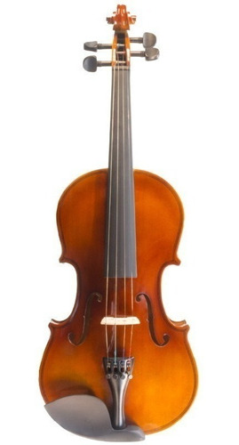 Violino Benson Bvr301 3/4 Profissional Completo Com Case