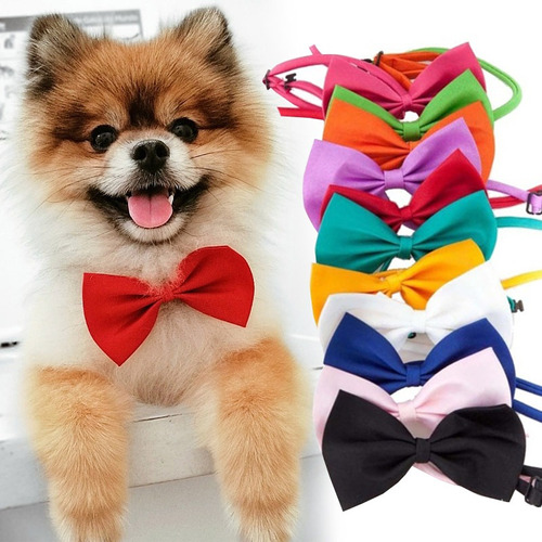 Bandana Pet Gravata Borboleta Ajustável Para Cachorro Cães Cor Azul-royal