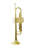 Trompete Tp-200 Laqueado Bb Sibemol Completo - New York