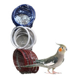 Argolas Brinquedo Para Calopsita Agapornis Aves 6 Brinquedo 