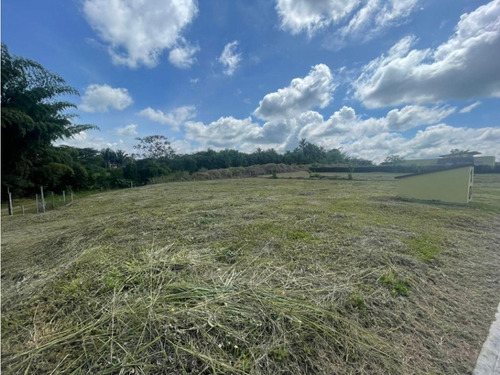 Venta Lotes Condominio Campestre Cerritos - La Virginia Pereira - Imagen 3