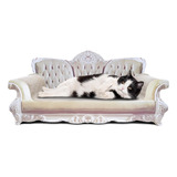 Royal Cat Couch Extra Grueso Gatos, Sofá Cama Gatos, C...
