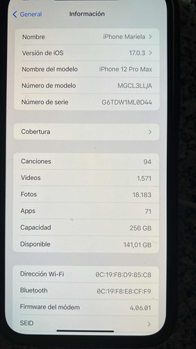 iPhone 12 Pro Max 256 Gb