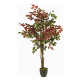 Árbol Ficus 150 Cm Ambiente Living