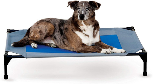 Cama Elevado Para Perros, Con Alcenamiento De Agua Fresca