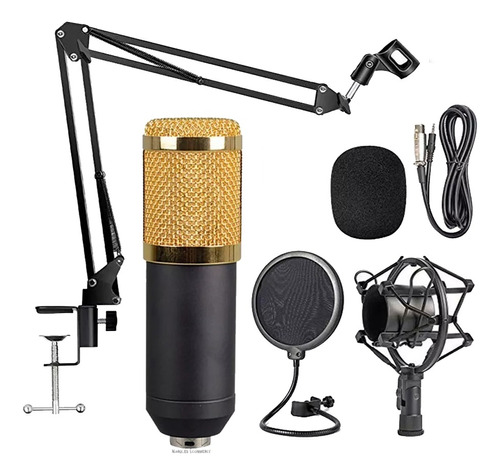 Microfone Estúdio Pop Filter Aranha Braço Articulado Bm 800