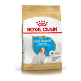 Royal Canin Jack Russell Puppy X 1 Kg.