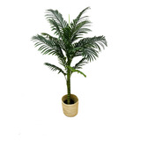 Planta Palmera 140 Cm (aprox.)