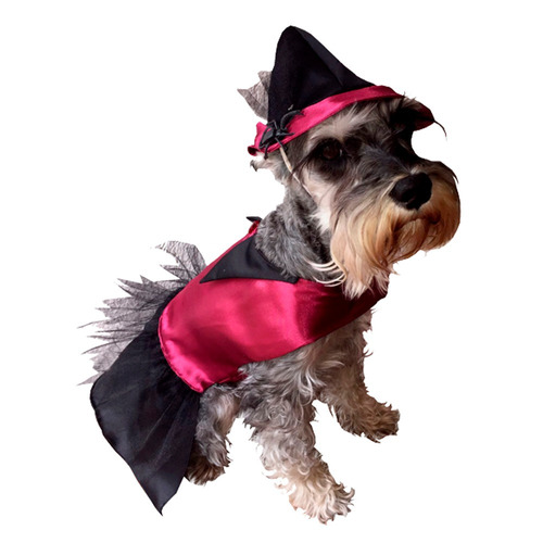 Disfraz Bruja Perro Halloween Talla 5 Mascota Pet Pals