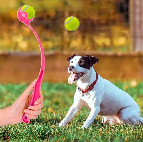 Lanzador De Pelota Para Perro