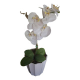 Arranjo  De Orquídea Permanente Branca