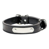 Collar Para Perros Wonder Dog Eco Cuero L