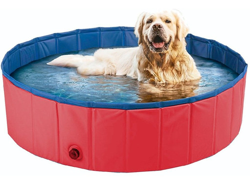 Piscina Para Pets 120x30cm 340 Litros Meu Pet Sortido