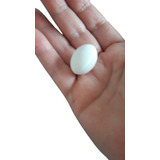 5 Huevos Artificiales Blancos De Plástico Para Palomas