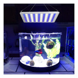 Acuario Led Arrecife Luz 75w Arrecife Coral Marino Lámpara