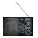 Radio Portatil Fm-am Recargable Usb-sd Slot Audiopro Ap02042