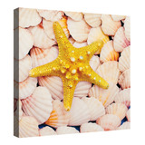 Cuadro Decorativo Canvas Moderno Estrella De Mar Minimalista