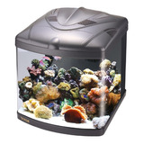 Kit Acuario Boyu Tl550 128lts Marino Con Gab 