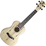 Ukulele Concert Acustico Phx Profissional Estilo Shelby