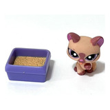 Littlest Pet Shop #1626 Gato Rosa Purpura + Arenero Lps