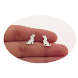 Aretes Plata 925 French Poddle Maltés Basset Hound Perritos