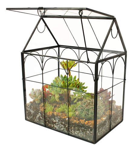 Elegantlife Glass Geométrico Terrario, Suculento Y Plantador