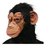 Máscara Chimpance 100% Látex Mono Cabeza Entera Halloween 