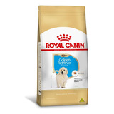 Ração Royal Canin Puppy Golden Retriever Cães Filhotes 3kg