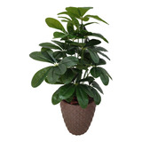 Planta Schefflera Artificial Folhas Grandes Realista + Vaso 