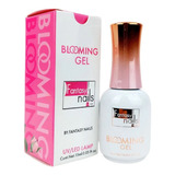 Blooming Gel Fantasy Nails 15ml