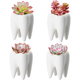 Macetas De Ceramica Diseño Dientes De Estilo Moderno