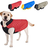 Cutebone - Chaqueta De Invierno Para Perro, A Prueba De Vien