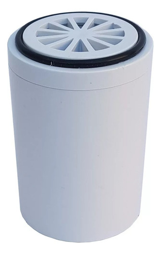 Repuesto Filtro Purificador De Agua Para Ducha Aqua Pro