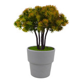 Planta Pino Bonsái Artificial Macetero Plástico Decora 23cm