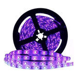 Tira Led 5050 Uv Ultra Violeta Interior Ip20 12v 5mts