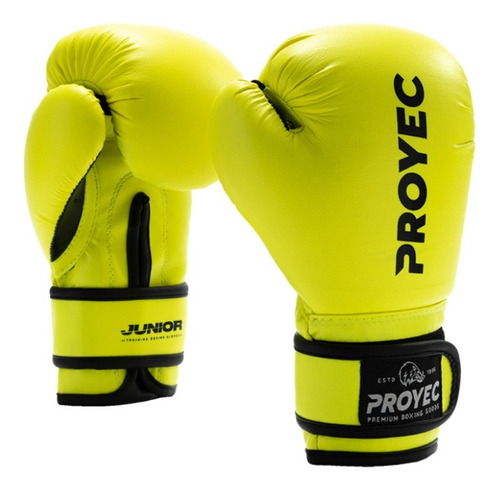 Guantes Boxeo Niño Kick Boxing Full Thai Mma Importado Pro