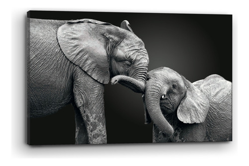 Cuadro Moderno Canvas Elefantes Byn Mamá 60x90cm