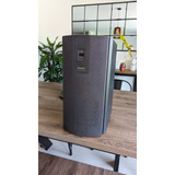 Subwoofer Activo Technics Sb-as100. 100w Control Crossover