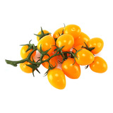(yw), Tomates Cherry, Exhibición De Frutas, Cocina, Comida C