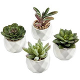 Mygift Mini Plantas Artificiales Suculentas En Macetas De C.