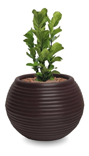 1 Vaso Plantas Black Friday Solitario Grande Forte B 30x40