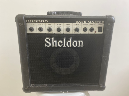 Caixa Amplificada Sheldon Bss300 30w 110/220v Contrabaixo