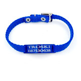 Chapita Gato Pasador Azul + Collar 1 Cm Reforzado Azul 